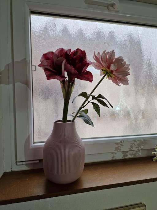 Grosszuegige Ferienwohnung 4+1 P. Büttelborn Exteriör bild
